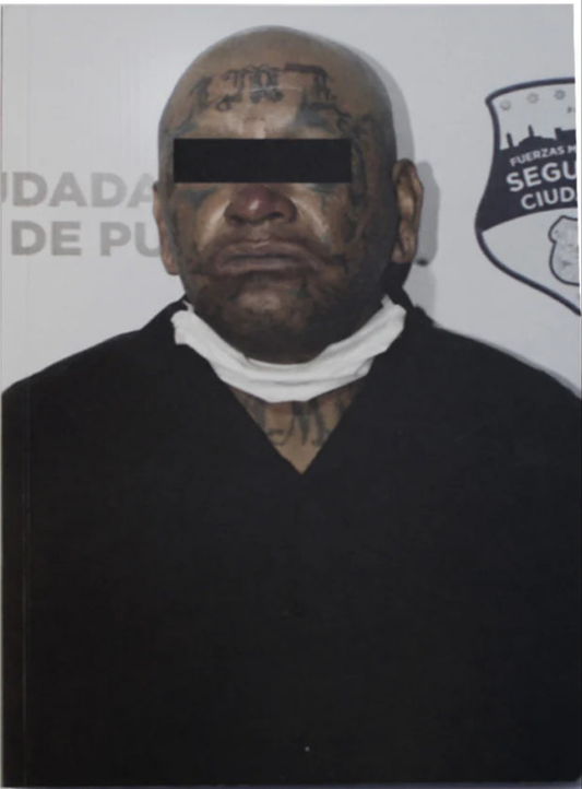 Estetica Del Crimen Book