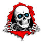 Powell Peralta - Ripper Ramp Stickers (12")