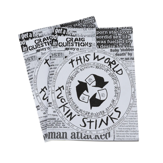 Craig "Questions" Scott - This world fuckin stinks Zine